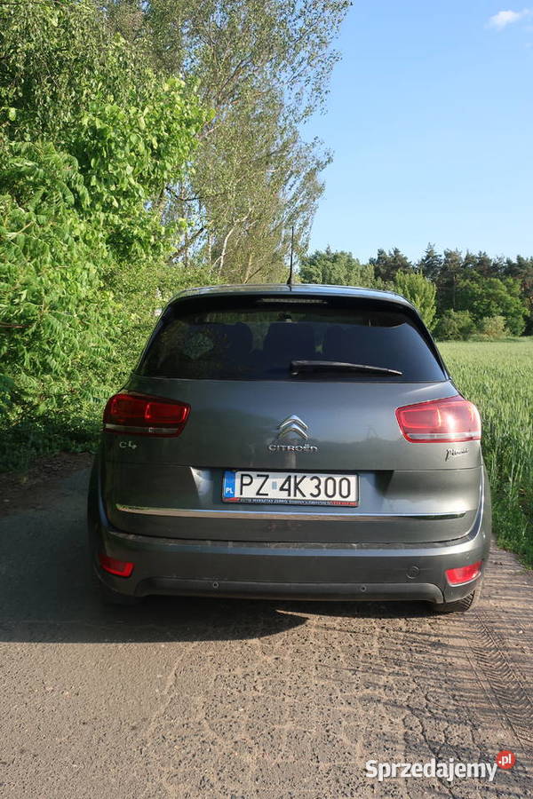 Citroen C4 Picasso Kostrzyn