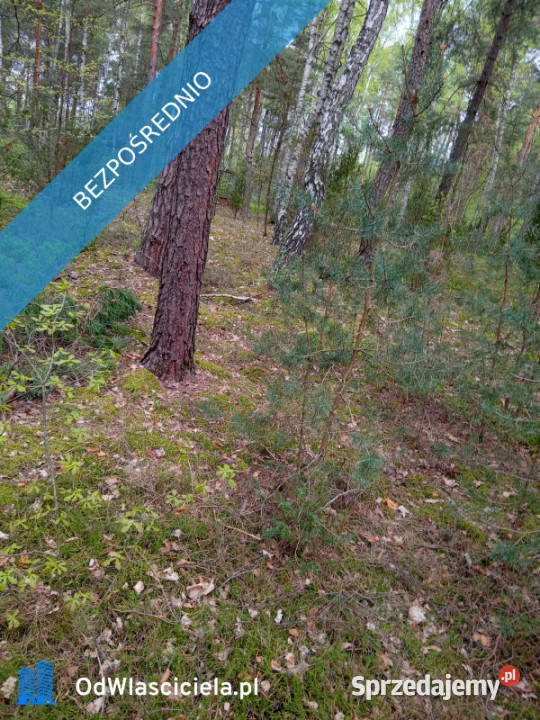 Ruda koło Radzymina działka BEZPOŚREDNIO Sprzedaż sprzedam