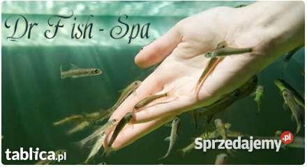 Fish Spa Pedicure Rybki Garra Rufa stanowisko pomorskie Słupsk