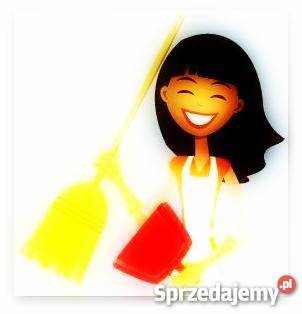 Sprzątanie na wezwanie Poznań Grunwald wielkopolskie Poznań