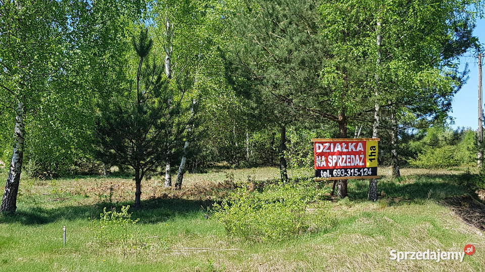 DZIAŁKA budowlana z lasem piękna okolica Taurów