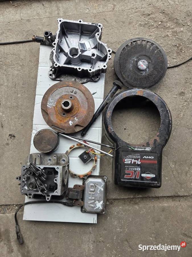 Glowica kolo zamachowe briggs stratton 145 tlok Wiele