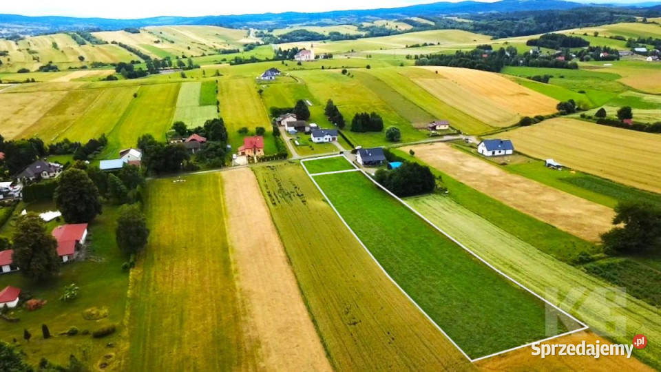 sprzedaży gruntu Jędruszkowce 5878m2