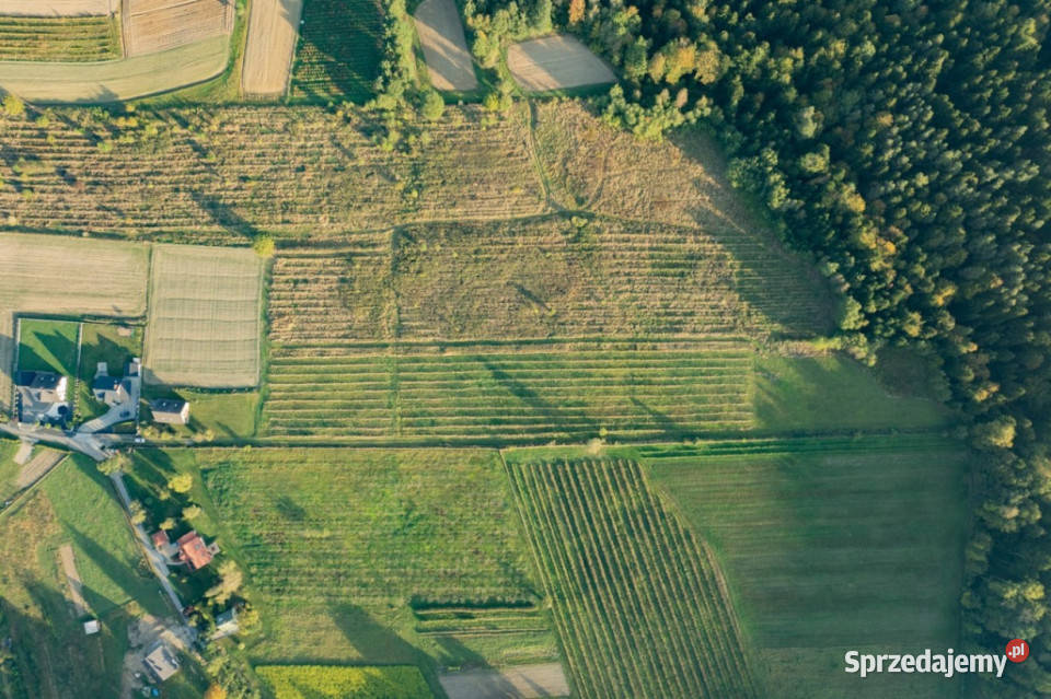 Działka budowlana na sprzedaż Kamionna Trzciana Sprzedaż