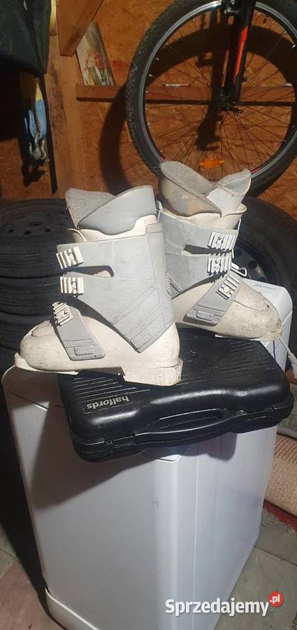 Buty narciarskie ALPINA śląskie