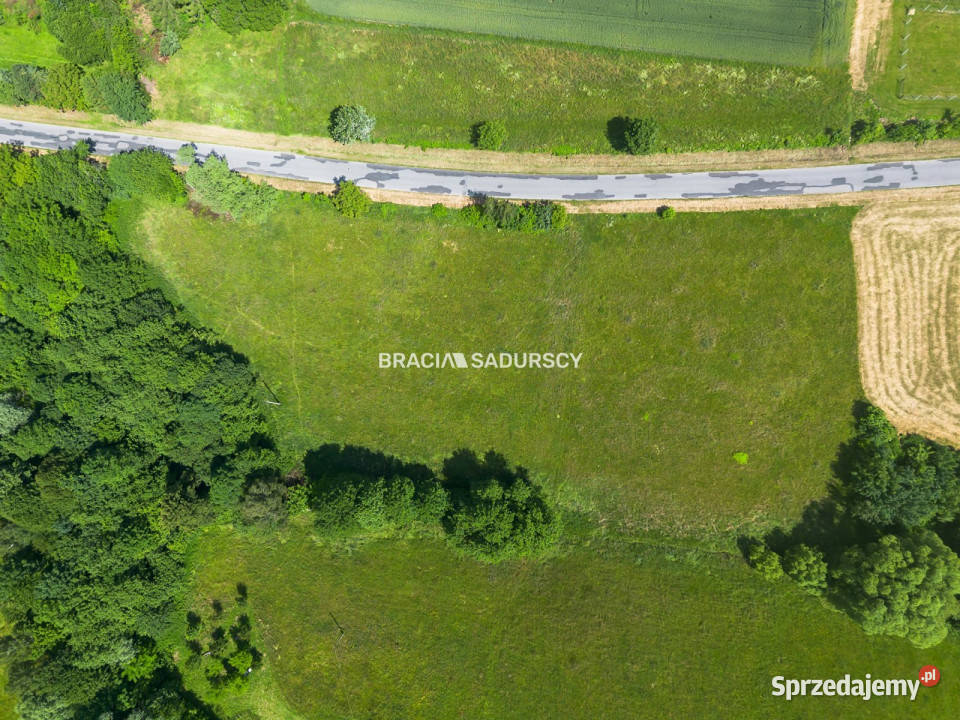 Działka 12200m2 Rzepiennik Strzyżewski