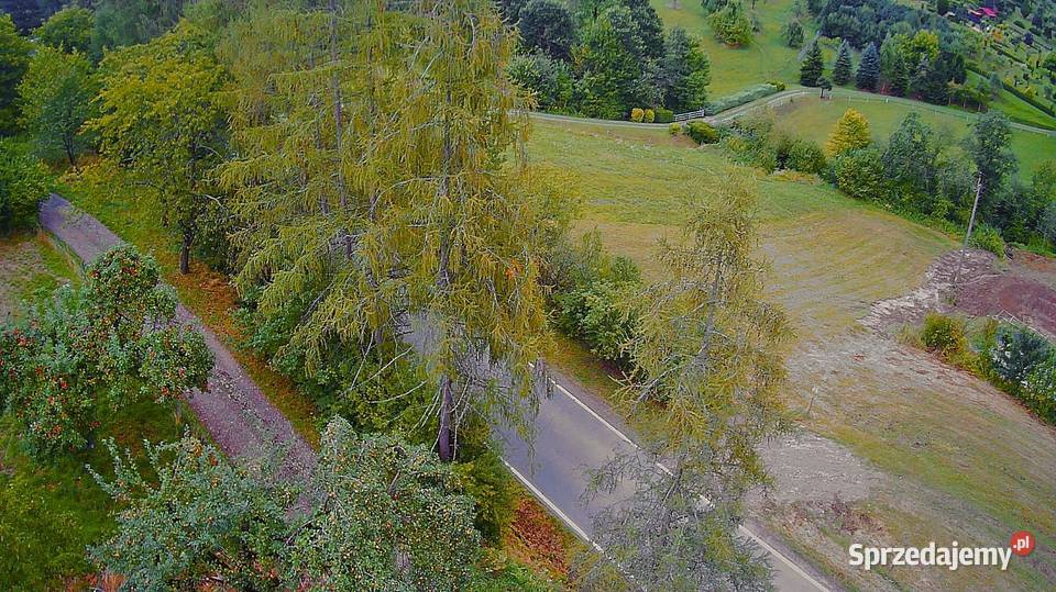 Działka budowlana 19 arów Janowice powiat