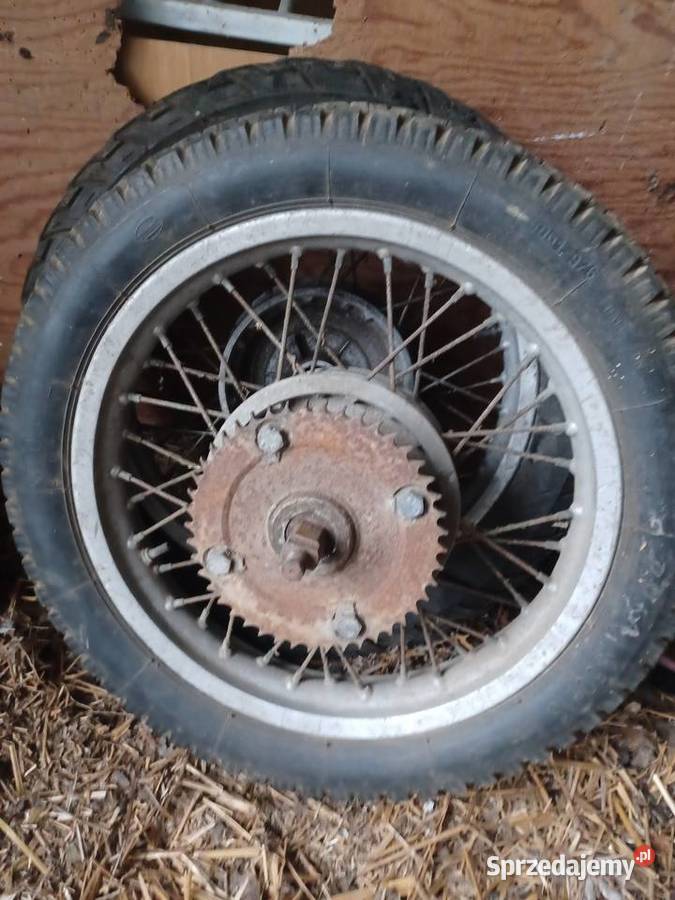 Mz koło lubelskie Kurów