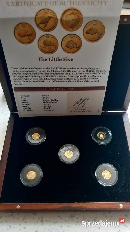 Najmniejsze BIG Five Little Five ZŁOTO Kędzierzyn-Koźle sprzedam