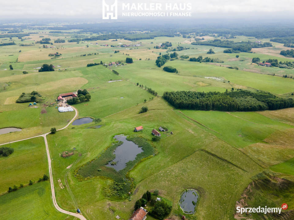 Siedlisko 4 ha ze stawem Puszcza Borecka Mazury wolnostojący Sprzedaż Zawady