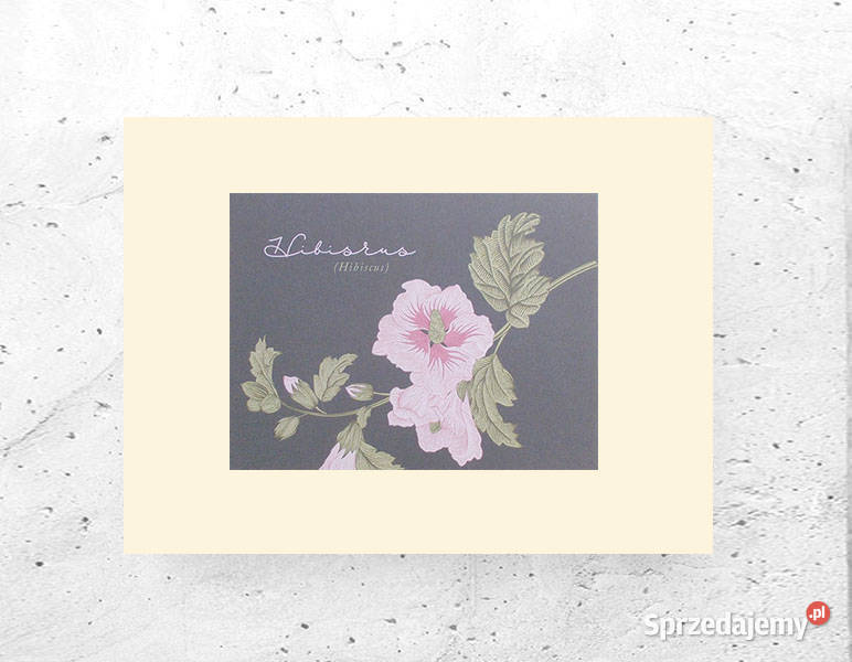 botaniczny plakat A4 hibiscus plakat do domu Białystok