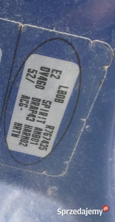 Renault Thalia I lift 14 B 2005r Lak DV460 warmińsko-mazurskie Elbląg