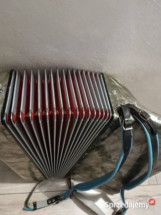 Akordeon włoski 120 basów SilvioMarotta podkarpackie Dębica