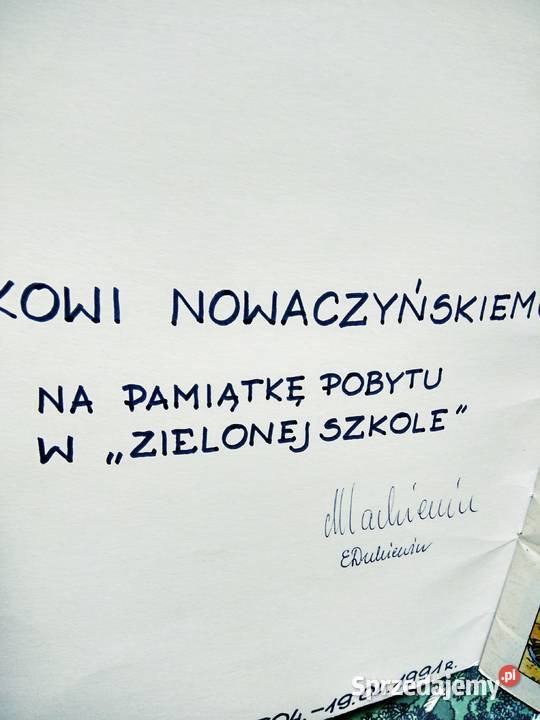 Dzikie Pola komiksy kolekcje unikaty antykwariat Antyki, Sztuka, Kolekcje Warszawa