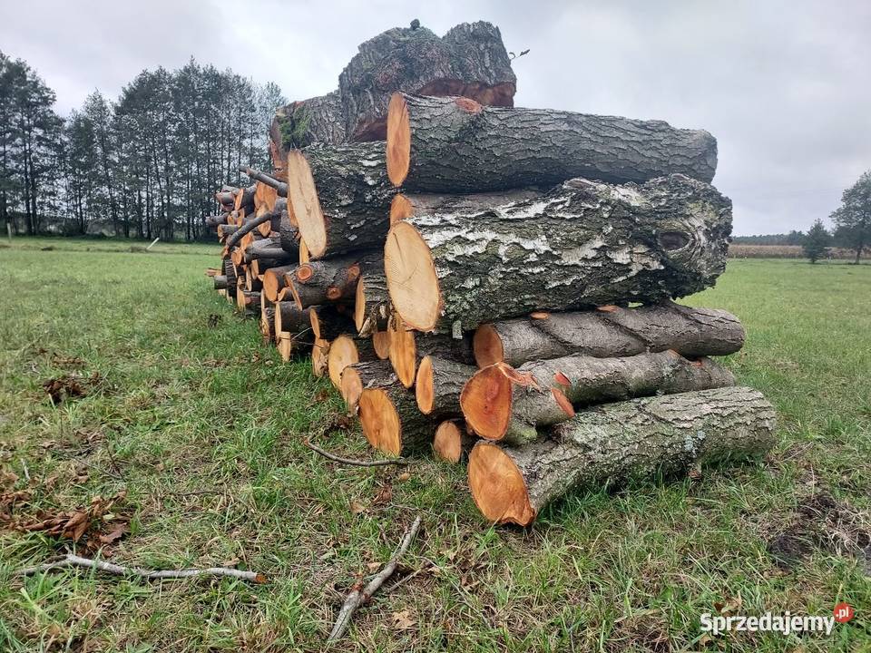 Sprzedam drewno opałowe Skrwilno sprzedam