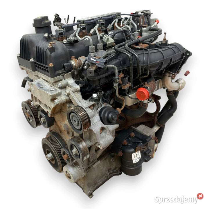 SILNIK D4HA Hyundai ix35 Santa Fe II III Tucson Chełm