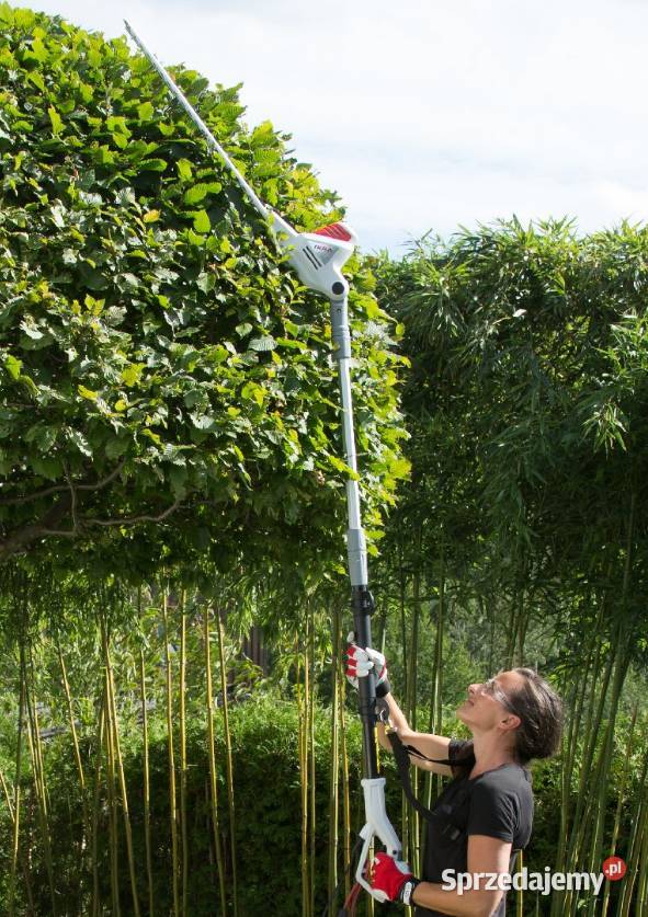 IKRA ITHS 600 NOŻYCE DO ŻYWOPŁOTU ELEKTRYCZNE NA Opalenica