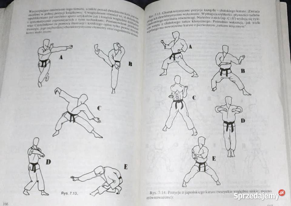 Sztuki i sporty walki Dalekiego Wschodu Jerzy Rok wydania 1988 lubelskie Chełm