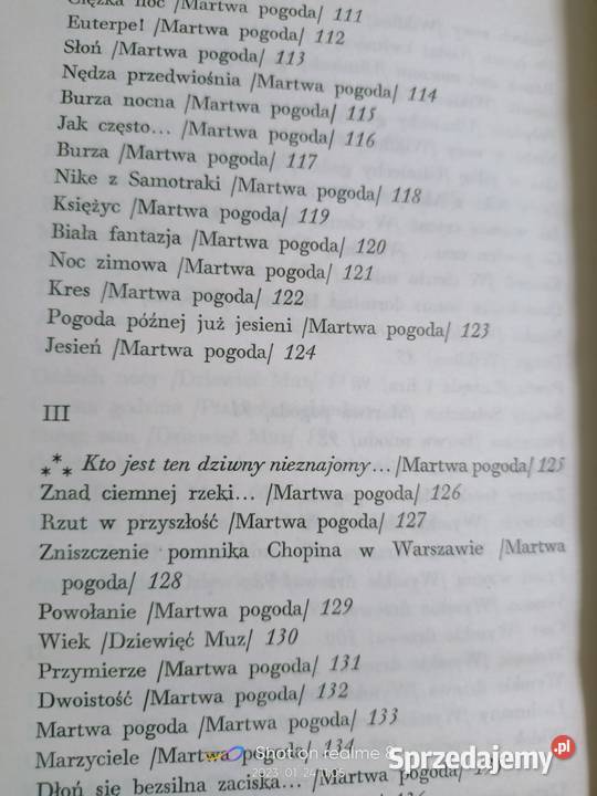 Kto jest ten dziwny nieznajomy wybór poezji Warszawa sprzedam