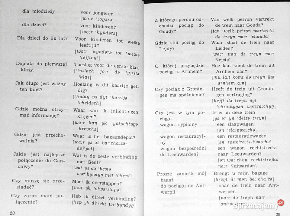 Minirozmówki niderlandzkie Lisetta Stembor Alina sprzedam