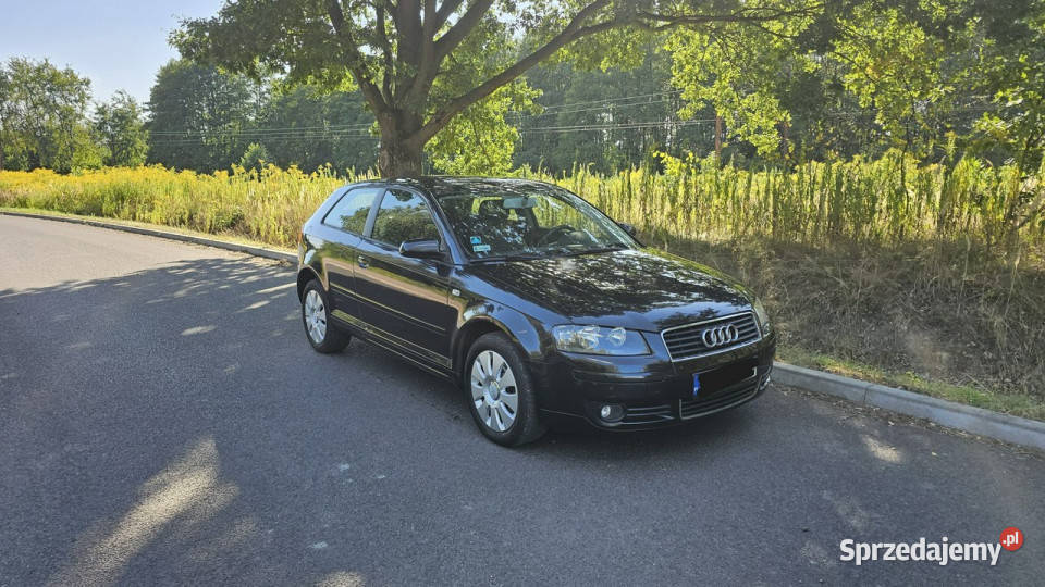 Audi A3 Audi A3 220 przebiegu 8P 20032012 Chełm Śląski