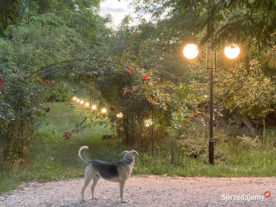 lampa ogrodowa lampa parkowa lampy ogrodowe Wieliczka