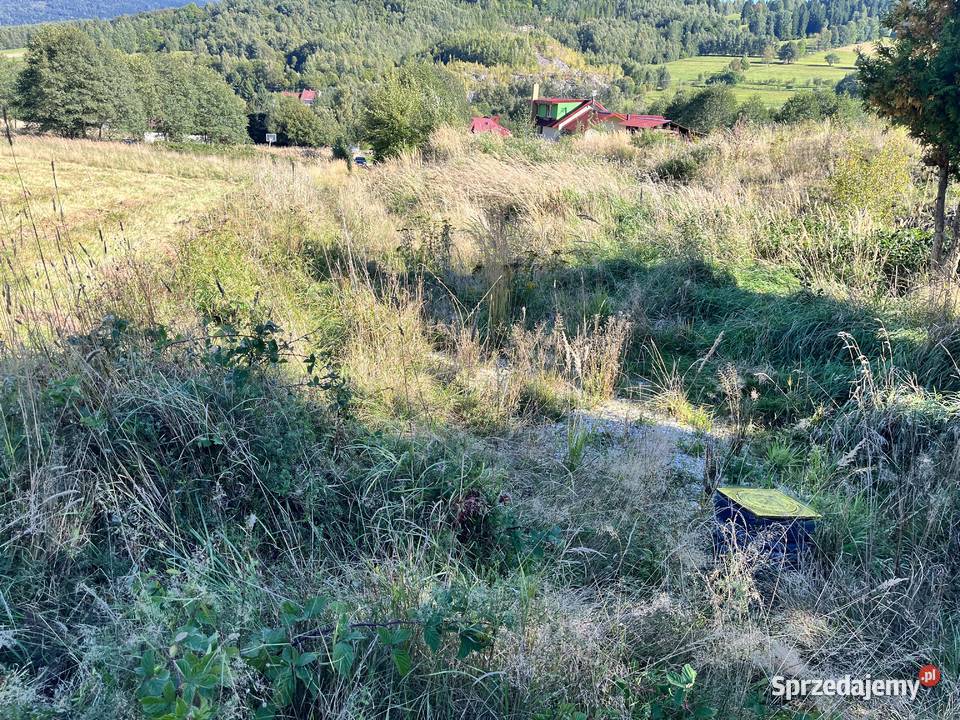 Stronie Śląskie dwie pięknie położone