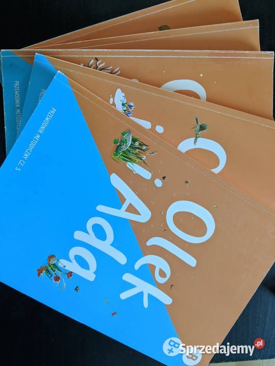 Olek i Ada Przewodnik metodyczny