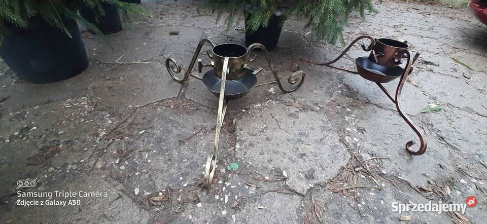 Choinki dowóz Producent Pozostałe lubelskie