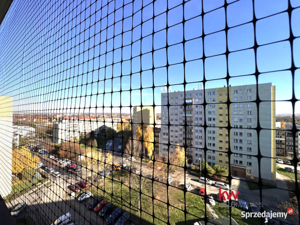 Ogłoszenie mieszkanie Zabrze Prof Tadeusza Piętro 8 śląskie