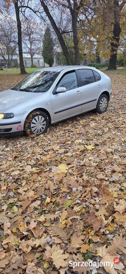 Leon 19 tdiklimatyzacja Przemyśl sprzedam