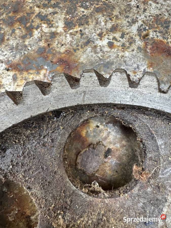 Dnieor Oryginalny KOŁA ROZRZĄDU Nowy Przemyśl