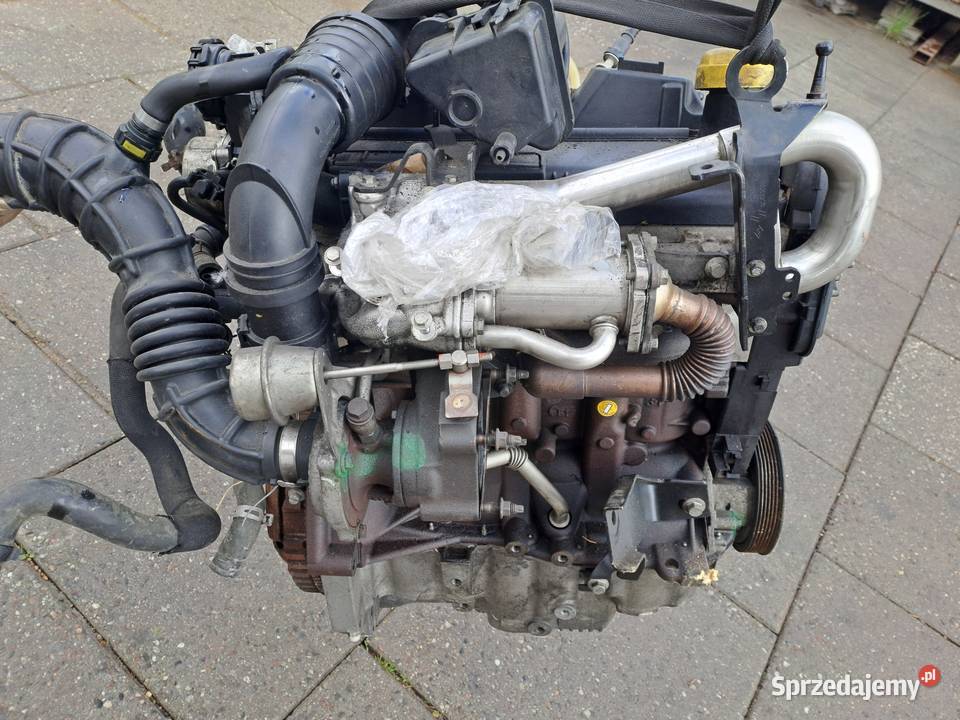 Dacia Dokker Sandero Renault Kangoo 15 DCi śląskie Jastrzębie-Zdrój
