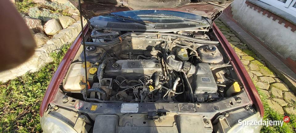 Ford Escort 1997r Klima Podgrzewana przednia dolnośląskie Wrocław