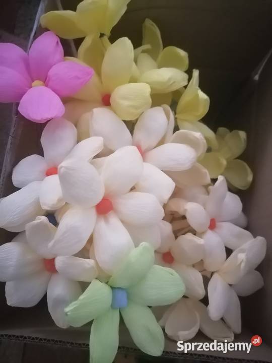 Kwiaty z krepiny Goworowo