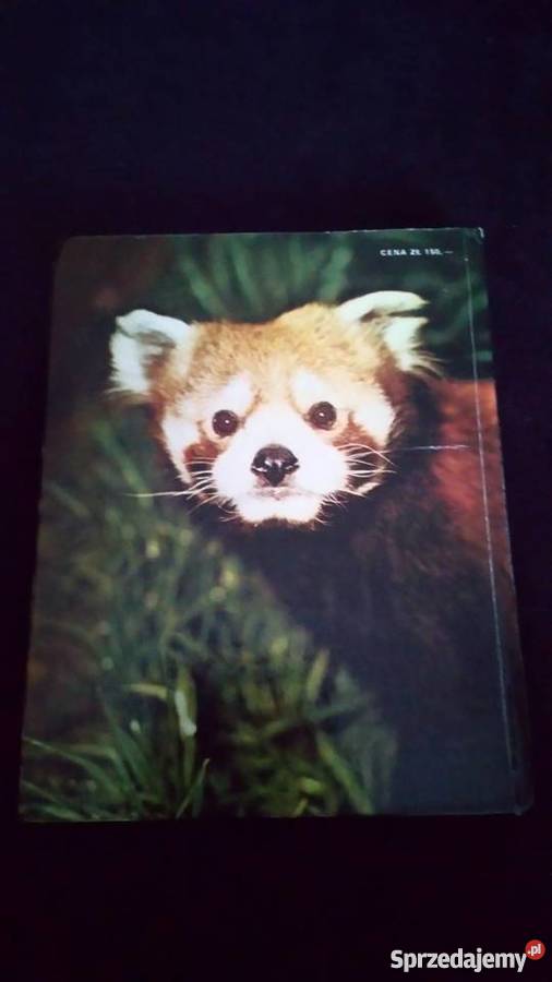 Znamy się z widzenia Zdenek Veselovsky Książki i Podręczniki dolnośląskie Wrocław