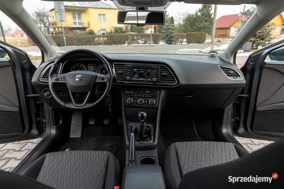 SEAN LEON gniazdo AUX Leon podkarpackie Zalesie