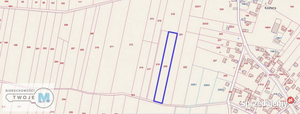 Działka 5800m2 Gnojno