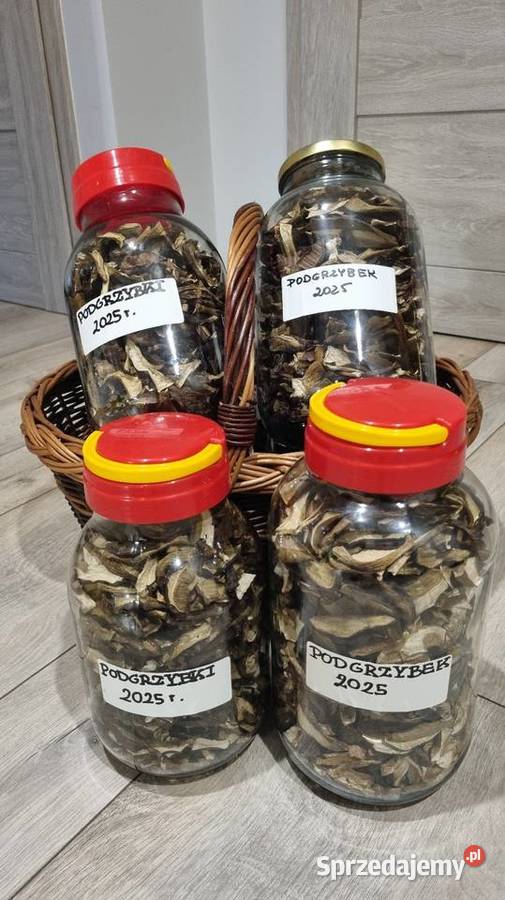 Podgrzybki suszone Zbiór 2025r 25 100g Gliwice