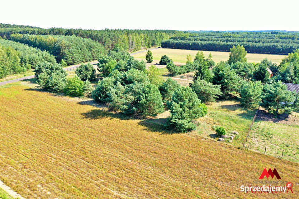 sprzedaży działki 3706m Okna