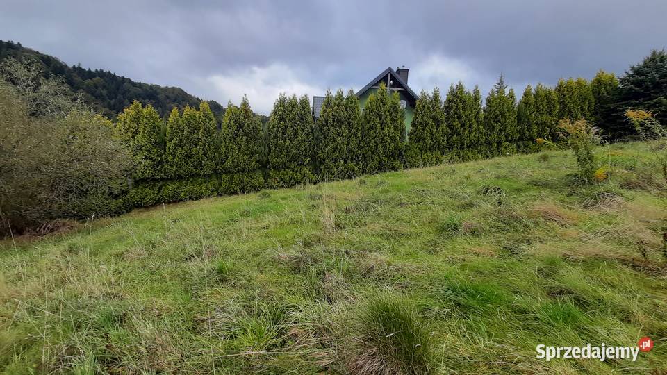 Działka pod zabudowę Muszyna Sprzedaż