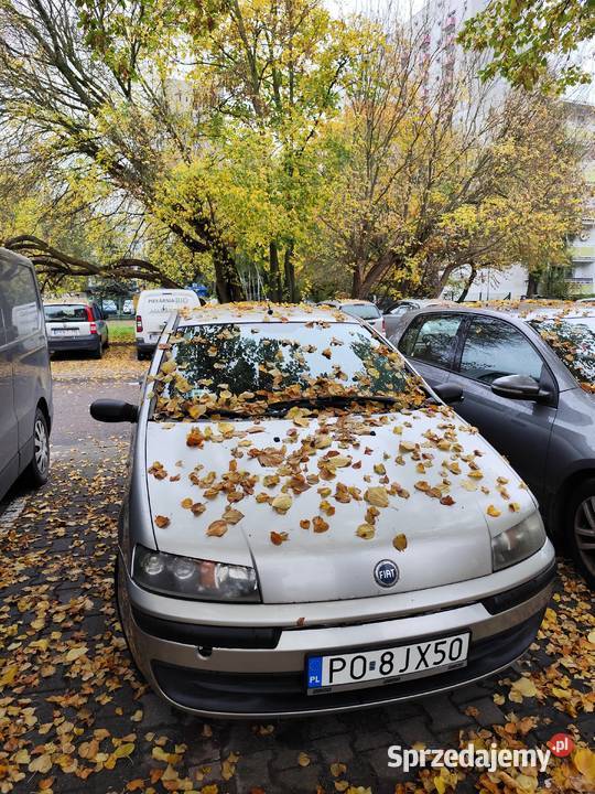Punto II SX 12 klima elektryka Punto Poznań