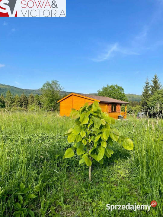 Domek rekreacyjny na działce 2000 m2 Sierpnicy Sprzedaż dolnośląskie Sierpnica