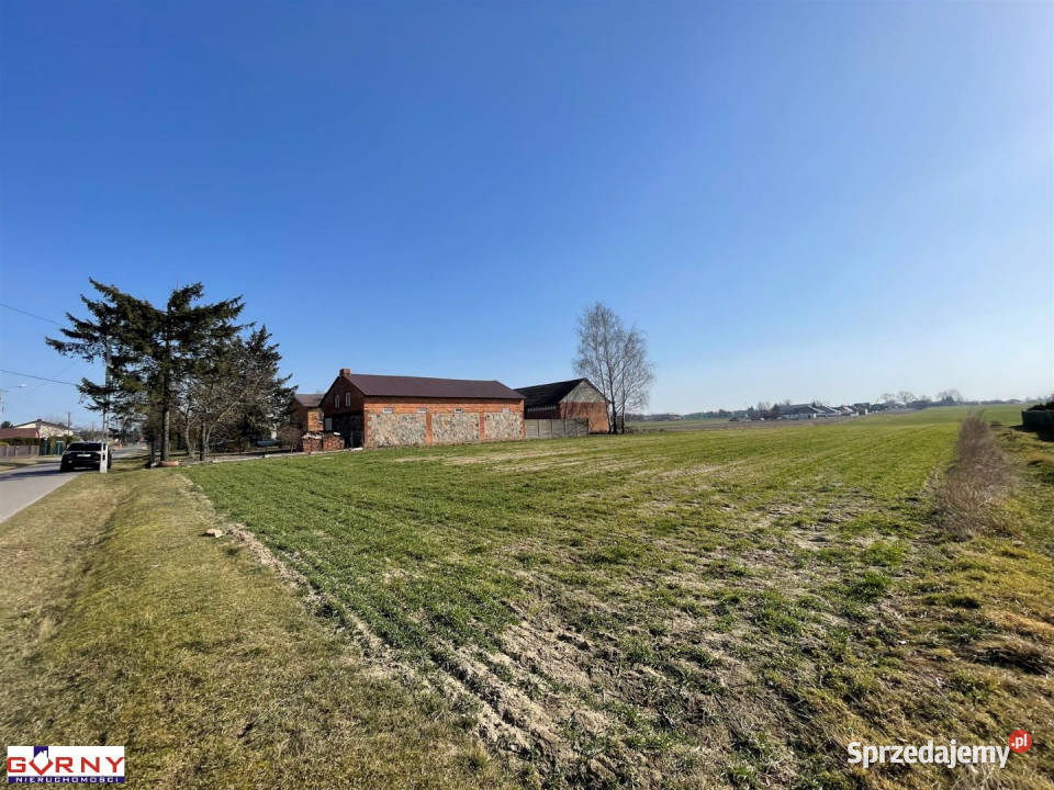 Działka Gomulin 16400m2 łódzkie sprzedam