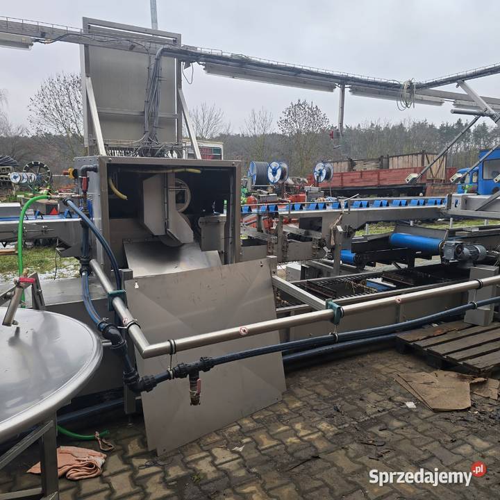 Linia do segregacji i mycia warzyw cebuli itd