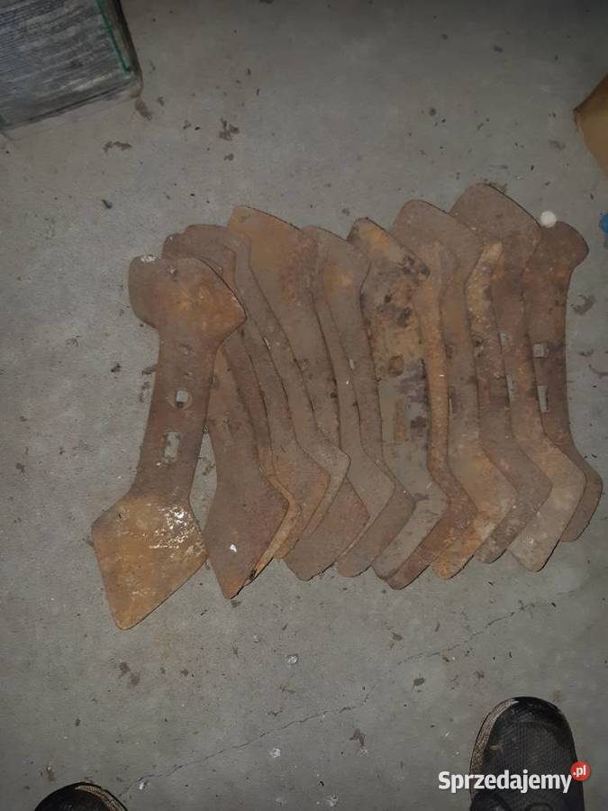 Redliczka do grubera Lubochnia