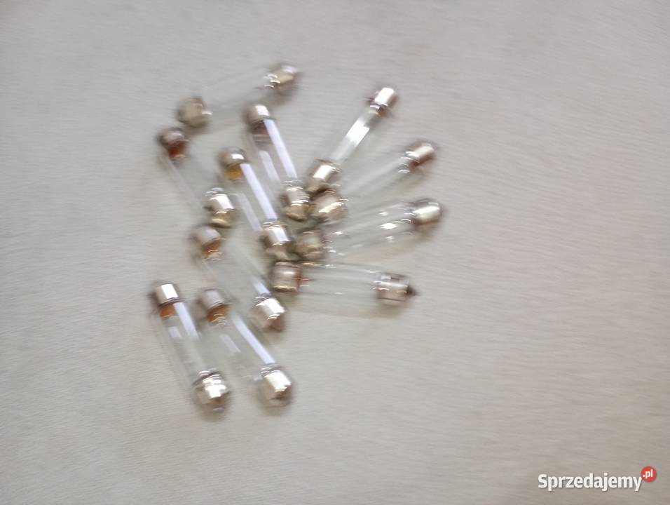 12V 5W żarówki żarówka rurka 43mm 11 sztuk nowe zachodniopomorskie