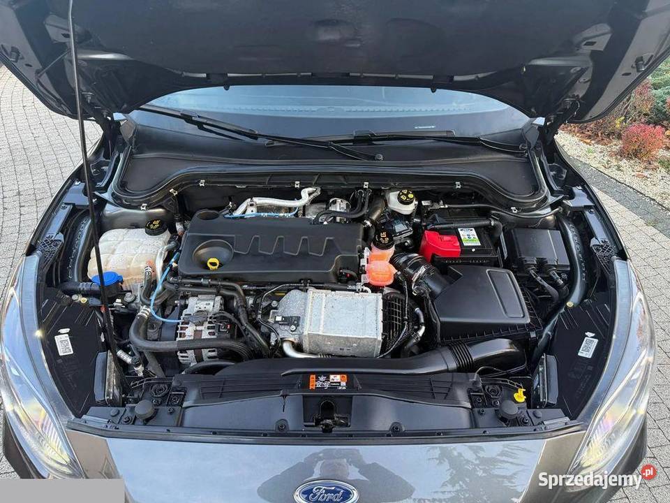 Ford Focus 20 EcoBlue STLine 150 2020r Krotoszyn