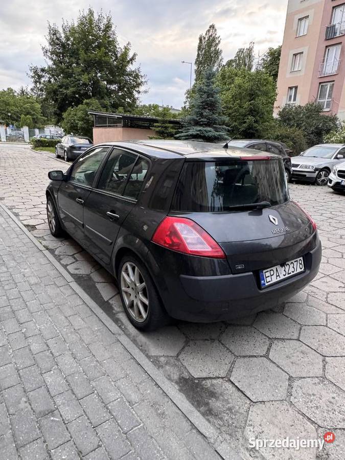 Renault Megane II Hatchback 16 16V 2003 174 Megane Zgierz