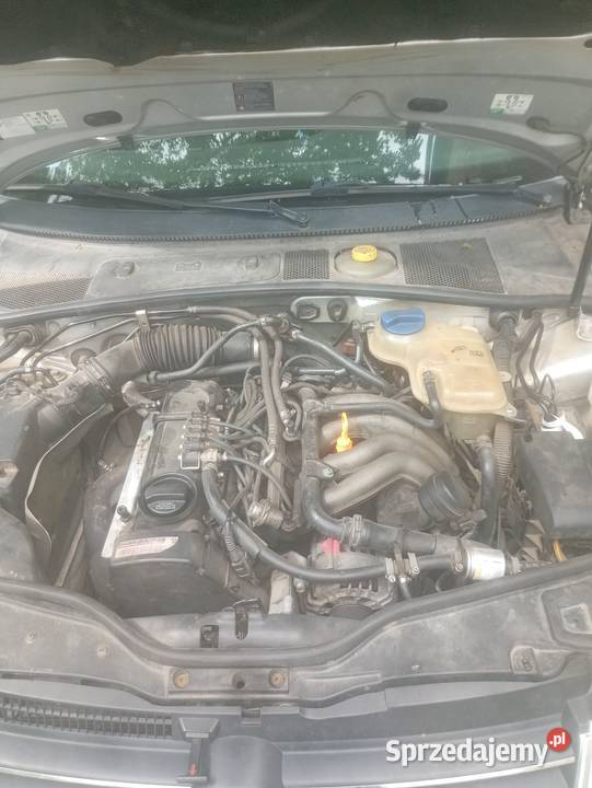 Volkswagen Passat B5 fl BG Passat